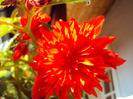 DSC02568