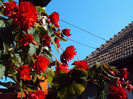 DSC02577