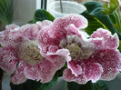 P1080648