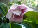 P1080650