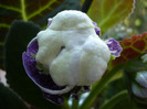 P1080653