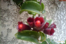 IMAG0932