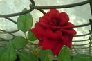 IMAG0934