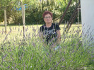 Photo 680 NU SE POATE CA O CASA DIN FRANTA SA NU AIBA SI TUFE DE LAVANDA ....SI FICA MEA ARE !