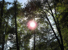 Image0032