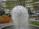 Image00061