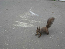Image00078