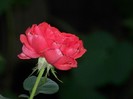 100_0794