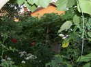 100_0808