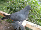 SANY0058