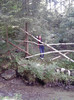 P140611_16.27_[03]