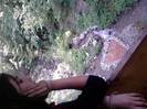 Resize_P140611_16.18_[02]