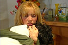 PDVD_378
