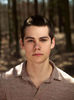 Stiles1