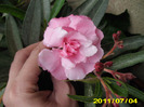 Picture 005