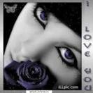 98ZNCAD1STSECATIOWYSCA9MS7IMCAAHEH8DCADRLGGNCAIO711YCAZ62VYOCAKBQ5C3CAULC0KXCANEDYG0CAM4Y5HPCA03CNEY