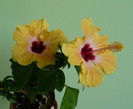 P1340781