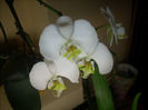 DSCN8567