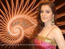 27618-amisha-patel