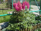 DSC02194