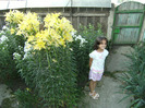 15 iulie 2011