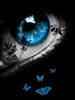 Eyes+wallpapers+240x320-014