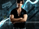 shahid-kapoor-162