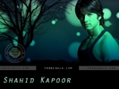 shahid-kapoor-599