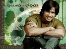 shahid-kapoor-619