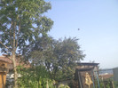 posta 024