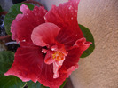 P1080843
