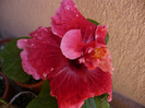 P1080844