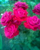Fotogr.0122