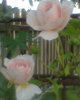 Fotogr.0207