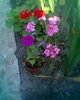 Fotogr.0162