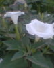 Fotogr.0205