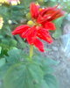 Fotogr.0171