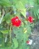 Fotogr.0199
