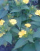Fotogr.0201