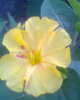 Fotogr.0203