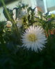 Fotogr.0156