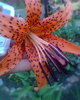 Fotogr.0194