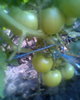 Fotogr.0210