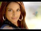 15990-bipasha-basu