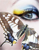 blue,eyes,yellow,butterfly,makeup-d85d0c3b1203801e57e508ea53dd2fde_h_large
