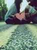 portal-web.net - in-love-4444