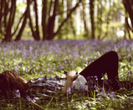 RELAXARE