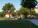 Image00064