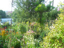 DSCN1644