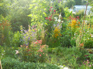 DSCN1645